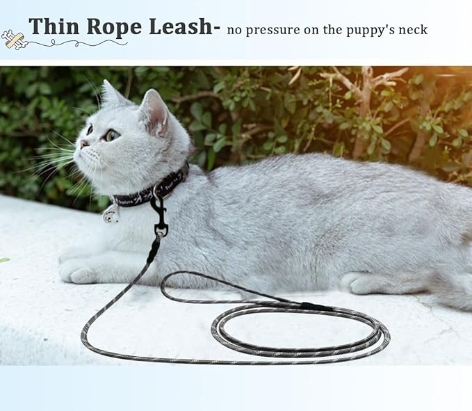 WYuZe Reflective X-Small Dog Leash 6/10/15 FT, Thin 1/5" Lightweight Rope Leash for Puppy Training, Walking Leads for Cats Chihuahua Maltese Small Pets Up to 15lb (10FT, Black)