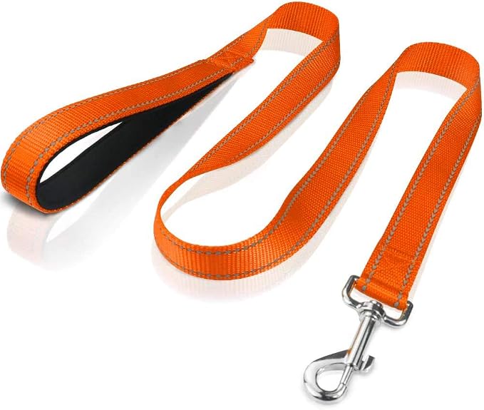 FunTags 4FT Orange Reflective Dog Leash for Medium & Small Dogs Training, Soft Padded Handle Comfortable Grip, Heavy Duty Nylon, Reflective for Night Walking, 3/4in Wide