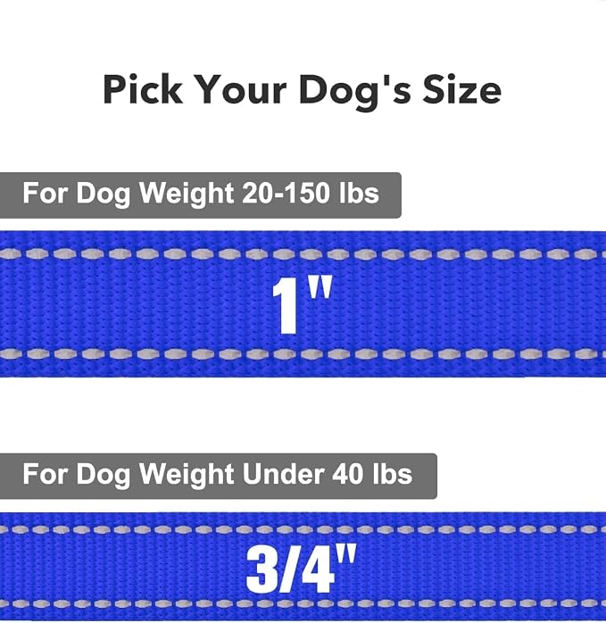 Taglory Dog Leash for Medium Large Dogs, Double-Sided Reflective for Night Walking, Neoprene Padded Handle, 1 inch by 6 ft, Heavy Duty for Medium Large Breeds 20-150 lbs, Navy Blue