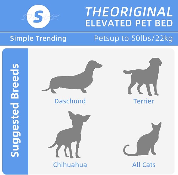 Simple Trending Raised Dog Bed for Small Dogs, Waterproof Elevated Dog Cot, Outdoor Cooling Pet Bed, 36.5" x 22.5", Grey