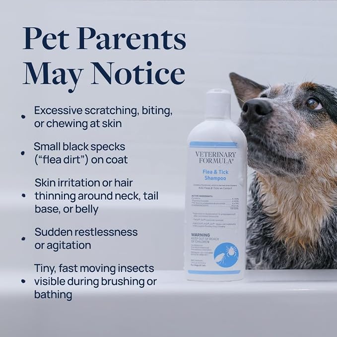 Veterinary Formula Flea and Tick Bundle – Prevention Spray for Dogs, 8 oz + 16 oz Shampoo for Dog Flea & Tick Control