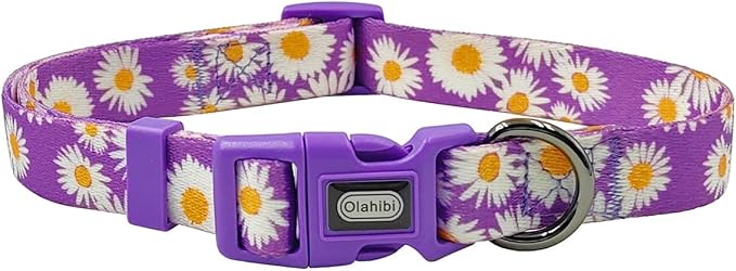 Dog Collar and Leash Set, Cute Daisy Pattern, Polyester Material, 5ft Leash, for Medium Dogs.(Medium,Purple Daisy)
