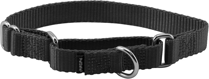 PetSafe Martingale Dog Collar Small, 3/4 Inch, Black