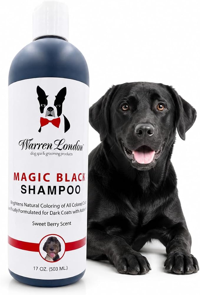 Warren London Magic Black Dog Shampoo – Brightening Shampoo for Dark Coats, Berry Scent, Puppy & Cat Safe, Made in USA, 17 oz