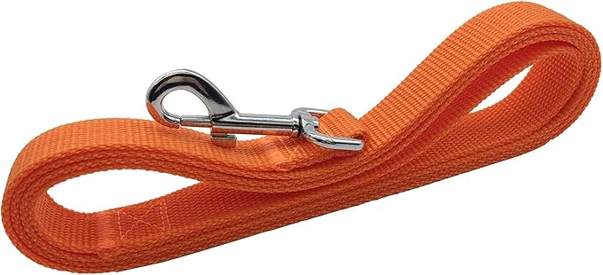 TAIAN 4FT/5FT/6FT Strong Dog Leash, Nylon Dog Leashes for Small Medium Large Dogs (Orange, 1 in x 15 ft)
