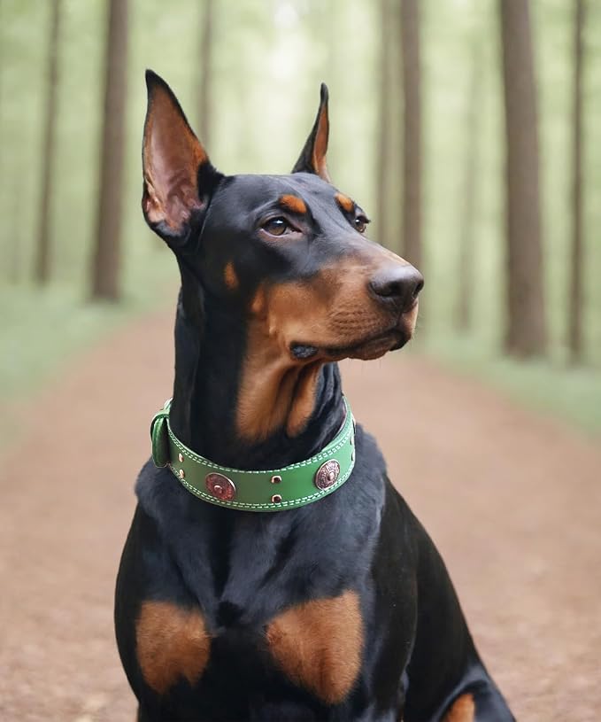 Leather Dog Collar for Large Dogs, 2 in Wide Heavy Duty, Handmade, GN-M | Genuine Leather Stainless Steel Pin Buckle, Microfiber Leather Padded, Alloy Studded， Soft, Luxury and Eye-catching