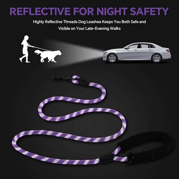 Heavy Duty Dog Leash - 4.9 FT for Large and Small Dogs - Strong Nylon, Comfortable Handle, Reflective Stitching - Ideal for Walking, Training, and Outdoor Activities, Purple