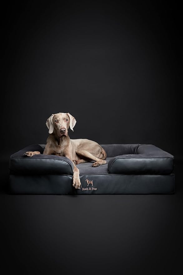 NOAH & PAW XL Dog Bed, 45x35x11 Inch, Orthopedic Large Dog Beds, Eggshell Memory Foam Infused with Cooling Gel, Inner Cover, Water Resistant, Machine Washable (Faux Leather)