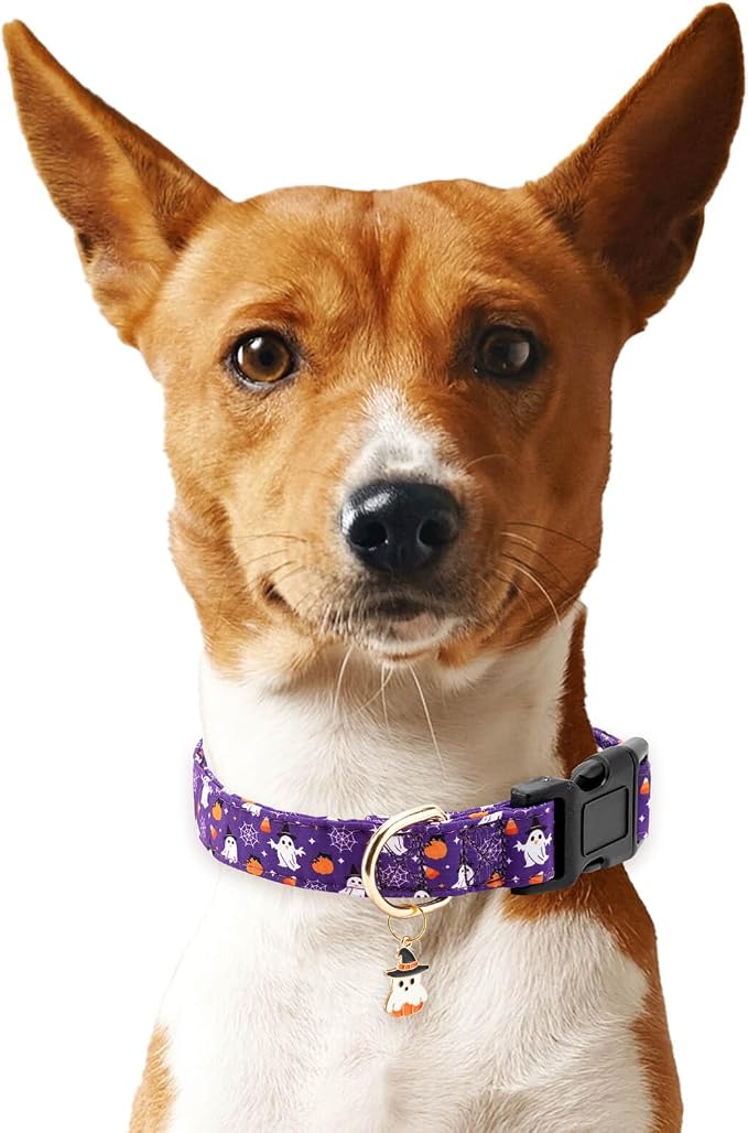Fall Dog Collar,Soft and Cute Halloween Collars with Ghost Patterned Design for Girl Female Boy Dogs,Adjustable Buckle Pet Collar for Small Medium Large Dogs (Purple Ghost, L)