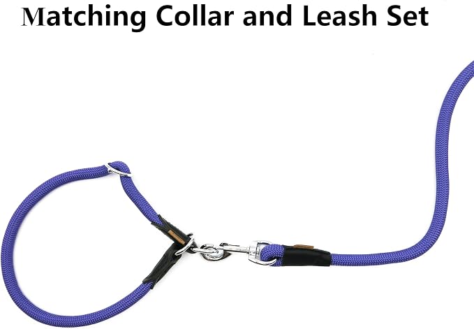 Dog Leash, Braided Rope Traction – Walking Training Lead for Medium/Large Dogs ((1/2") x 6FT, Purple)