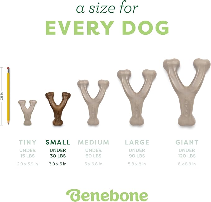 Benebone 2-Pack Wishbone Durable Dog Chew Toy for Aggressive Chewers, Real Bacon Made in USA, Large