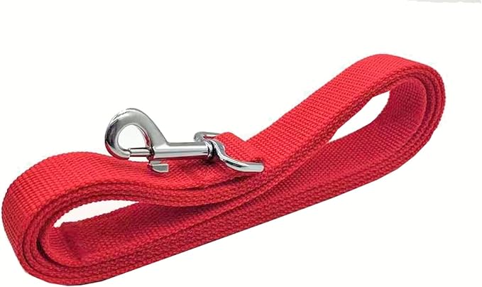 TAIAN 4FT/5FT/6FT Strong Dog Leash, Nylon Dog Leashes for Small Medium Large Dogs (1 in x 6 ft, Red)