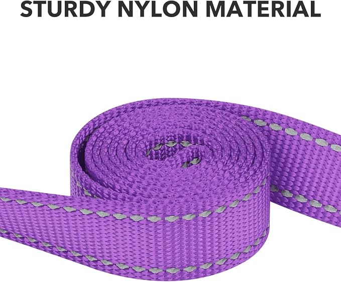 Taglory Dog Leash for Medium Large Dogs, Double-Sided Reflective for Night Walking, Neoprene Padded Handle, 1 inch by 5 ft, Heavy Duty for Medium Large Breeds 20-150 lbs, Purple