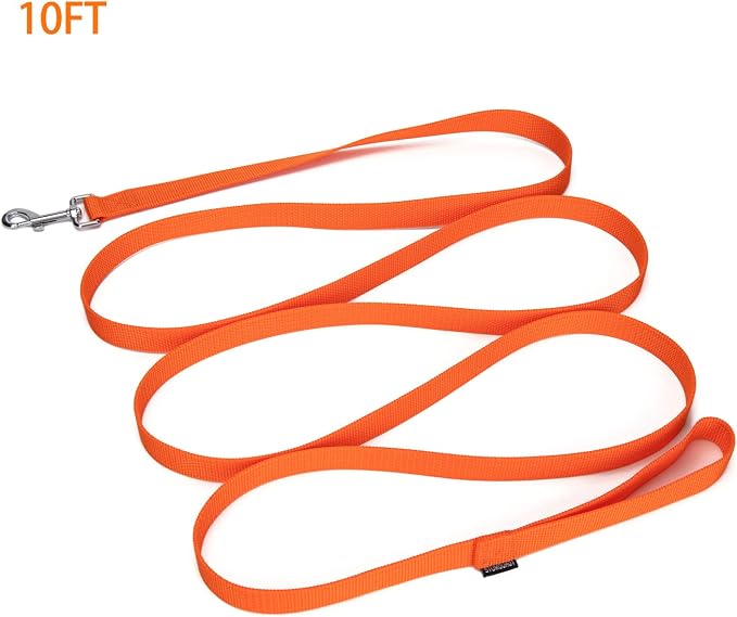 Strong Durable Nylon Dog Training Leash, 1 Inch Wide Traction Rope, 6 ft 10ft 15ft Long, for Small and Medium Dog (Orange, 10 Feet)