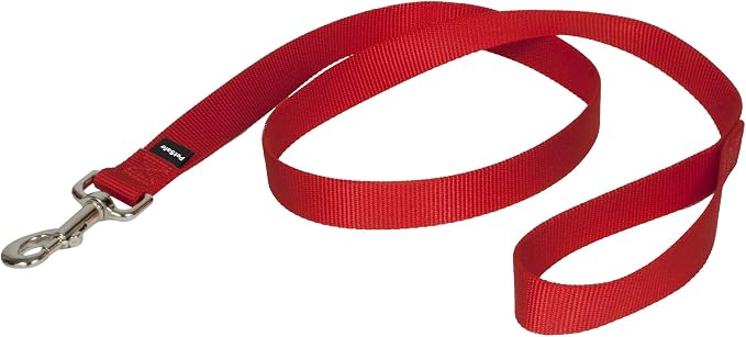 PetSafe Nylon Dog Leash Strong, Durable, Traditional Style Lead with Easy to Use Bolt Snap for Small, Medium and Large Dogs 1" x 4', Red