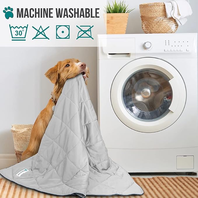 PetAmi Premium Cooling Dog Blanket | Lightweight Fluffy Pet Throw Blanket Bed Cover for Dogs, Cat, Puppies | Pet Blanket Furniture Protector Couch Sofa | Reversible Fuzzy Cozy | 40x60, Light Grey