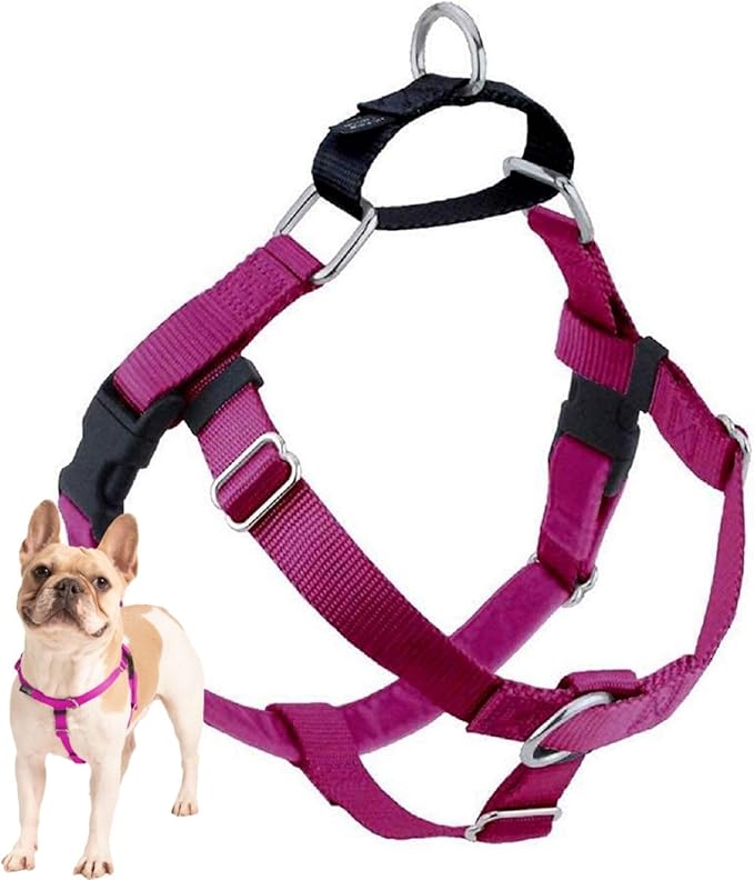 2 Hounds Design Freedom No Pull Dog Harness, Adjustable Harness, Easy Walking & Comfortable Control, Fits Small, Medium & Large Dogs, Solid Colors, Made in USA, 5/8" SM, Raspberry