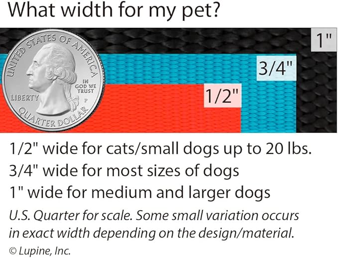 Lupine Dog Collar 1" Wide Petunias Adjusts from 16" to 28"