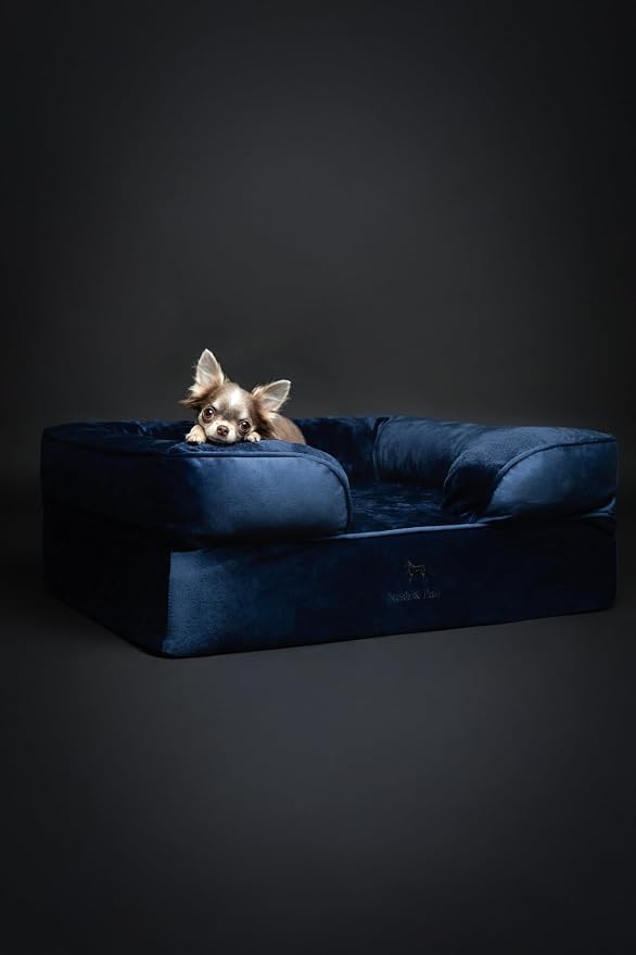 NOAH & PAW Dog Bed, 28x23x11 Inch, Orthopedic Dog Beds for Medium Size Pets, Eggshell Memory Foam Infused with Cooling Gel, Inner Cover, Water Resistant, Machine Washable (Velvet Sofa Collection)
