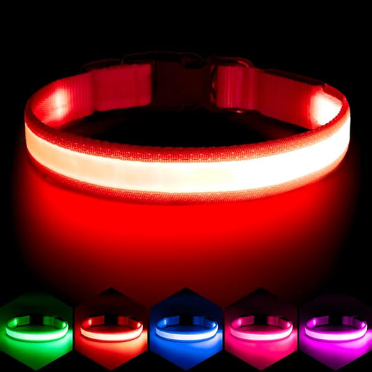 Vizpet LED Dog Collar, Light Up Dog Collar Adjustable USB Rechargeable Super Bright Safety Light Glowing Collars for Dogs(Large,Red)