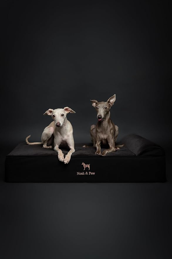 NOAH & PAW Large Dog Bed, 35x25x8.7 Inch, Orthopedic Dog Beds, Eggshell Memory Foam Infused with Cooling Gel, Water Resistant, Machine Washable, Includes Inner Cover (Denim Collection)