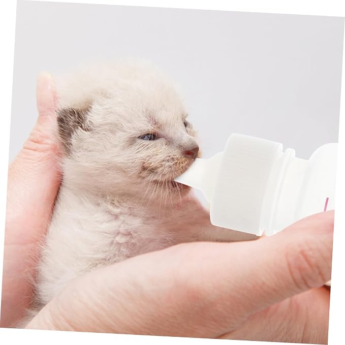 BESPORTBLE 1set Pet Feeding Kit Pet Feeders for Dogs Cats Lightweight Portable Nursing Bottles Leakage Prevention Complete Accessories for Easy Feeding for Puppies Kittens