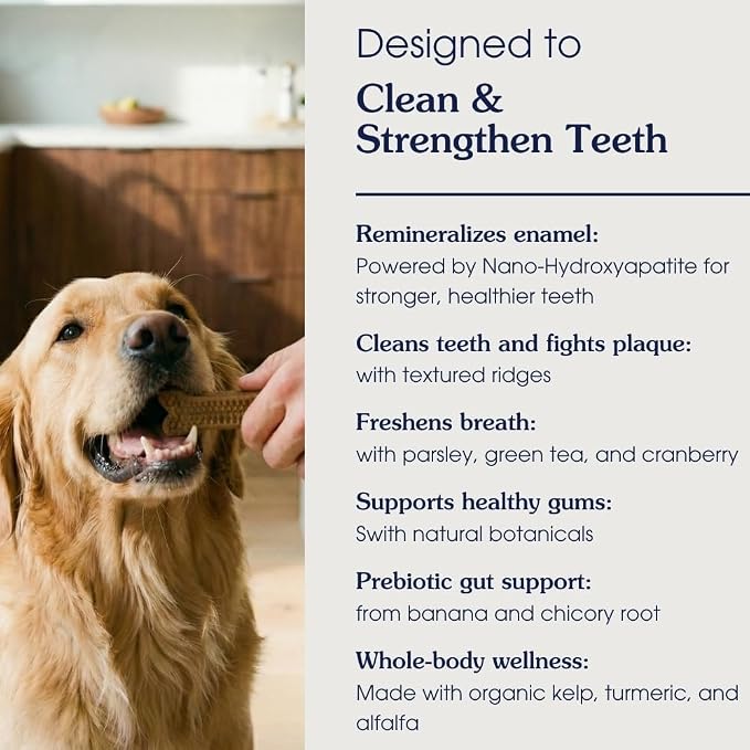 Arterra Pet Science Dog Dental Chews with Nano-Hydroxyapatite Next-Generation Daily Chews for Stronger Teeth, Fresh Breath, and Healthy Gut, 30 Count, Pack of 1