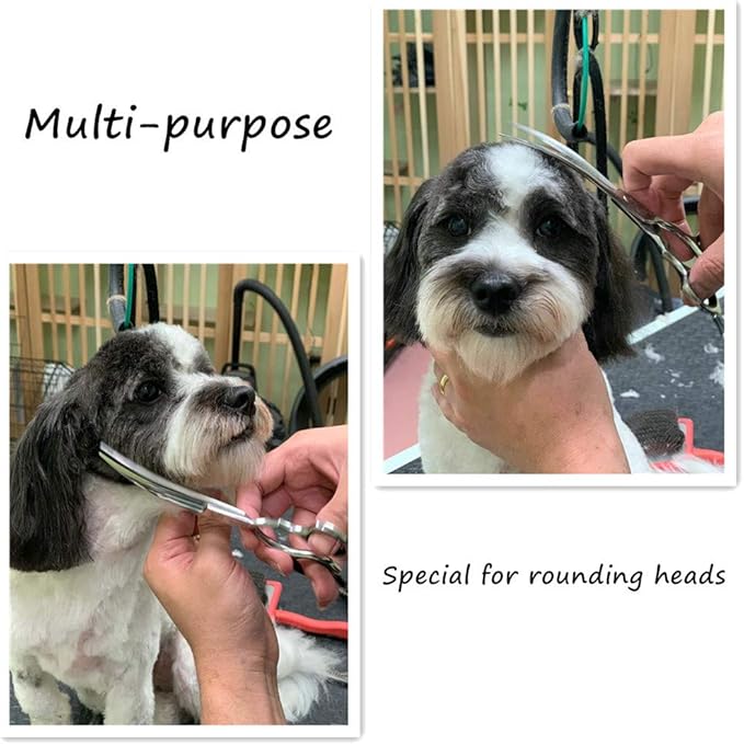 HASHIMOTO Curved Scissors for Dog Grooming for Large Hands, 6.5 inch, 30 Degree of Curved Blade,Light Weight, Pet Shears for Trimming Face and Paws.