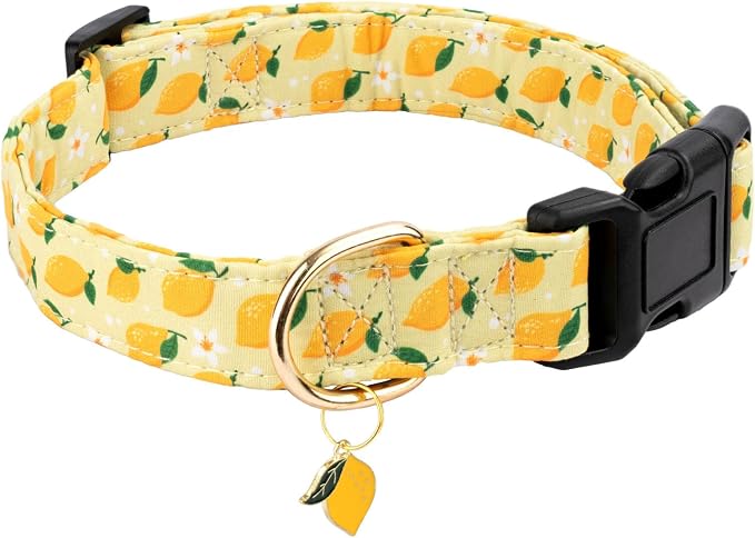 Cotton Dog Collar,Soft and Cute Puppy Collars with Lemon Patterned Design for Girl Female Boy Dogs,Adjustable Buckle Pet Collar for Small Medium Large Dogs (Yellow Lemon, S)