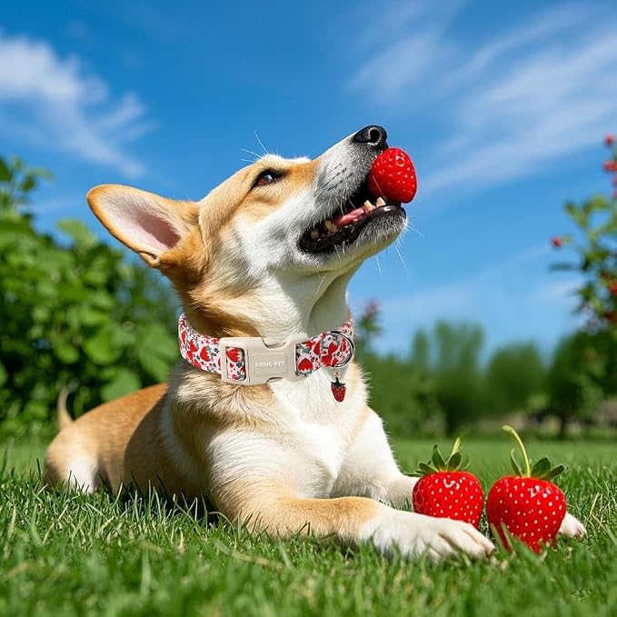 ARING PET Strawberry Dog Collar, Cute Summer Pink Pet Collars with Quick Release Buckle for Puppy Small Medium Large Boy Girl Dogs-XS