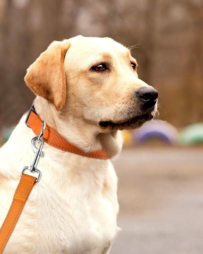 FunTags Length 16" - 24" Reflective Orange Dog Collar for Large Dogs – Night Walking & Training Safety, Durable Quick Release Buckle, Nylon, Comfortable Adjustable, Width 1"