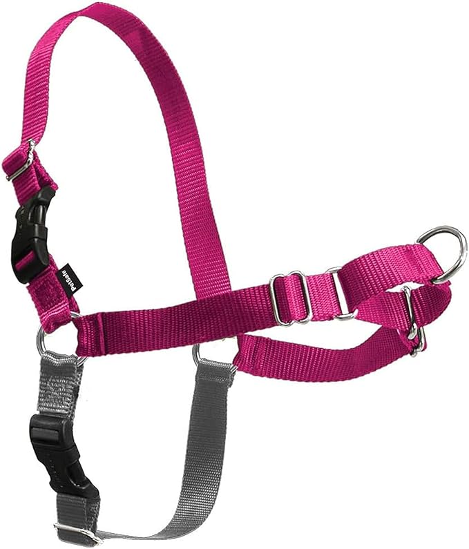 PetSafe Easy Walk No-Pull Dog Harness - Ultimate Harness to Help Stop Pulling - Pull-Free Walks - Take Control & Teach Better Leash Manners - Patented Martingale Loop Design - Raspberry, Large