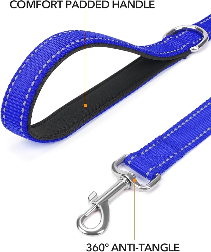 Taglory Dog Leash for Medium Large Dogs, Double-Sided Reflective for Night Walking, Neoprene Padded Handle, 1 inch by 5 ft, Heavy Duty for Medium Large Breeds 20-150 lbs, Navy Blue