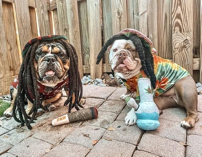 Nestpark Doggy Doobie - Funny Dog Toys - Plush Squeaky Toys for Medium, Small and Large - Cool Stuffed for Dog Birthday