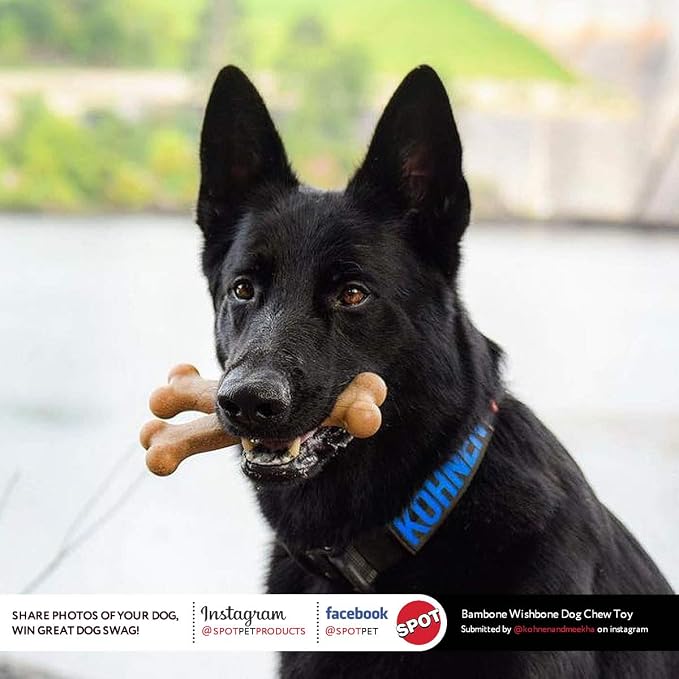 SPOT Bam-Bones Wishbone Dog Chew Toy, Bamboo Fiber Blend, Non-Splintering Durable Chew for Light to Moderate Chewers, Adult Dogs & Teething Puppies 25–50 lbs, Chicken Flavor, 7 in