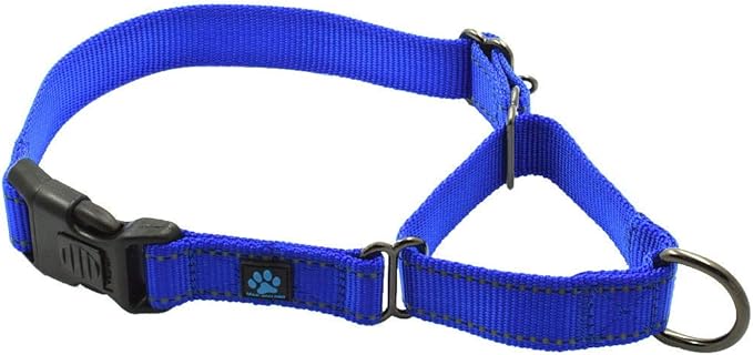 Max and Neo Nylon Martingale Collar - We Donate to a Dog Rescue for Every Collar Sold (Large, Blue)