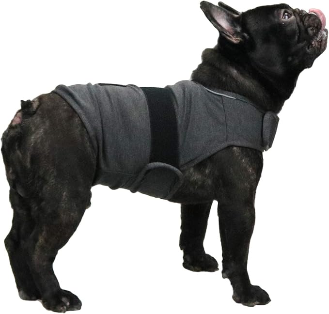 Comfort Dog Anxiety Relief Coat, Dog Anxiety Calming Vest Wrap for Thunderstorm,Travel,4th of July Fireworks,Vet Visits,Separation Anxiety Relief for Dogs (M,Grey)