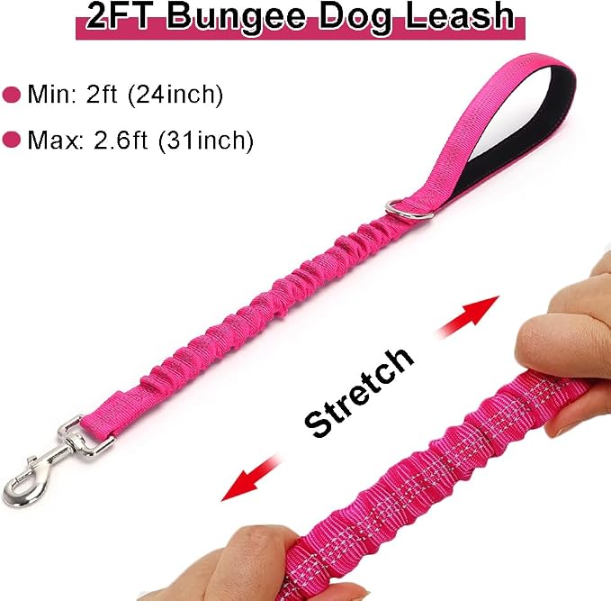 2ft Bungee Dog Leash, Reflective Strong Nylon Short Traffic Leash, Shock Absorbing for Large Medium Dogs Controlling, Walking (Rose Red, 1" Width)