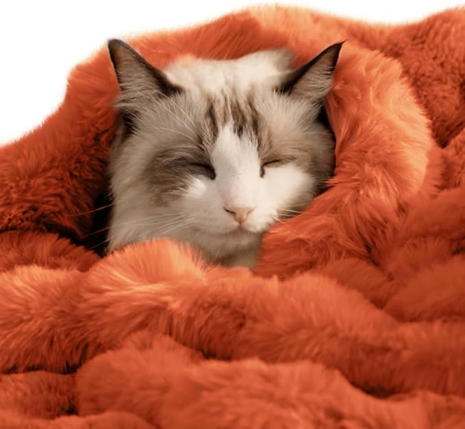 SOMAHE Pet Blanket, Reversible Sherpa & Bubble Fleece Pet Throw, Ultra-Soft Plush for Cats & Small Dogs, Machine Washable, Anti-Static, Warm & Cozy,28"×22" Inch Orange