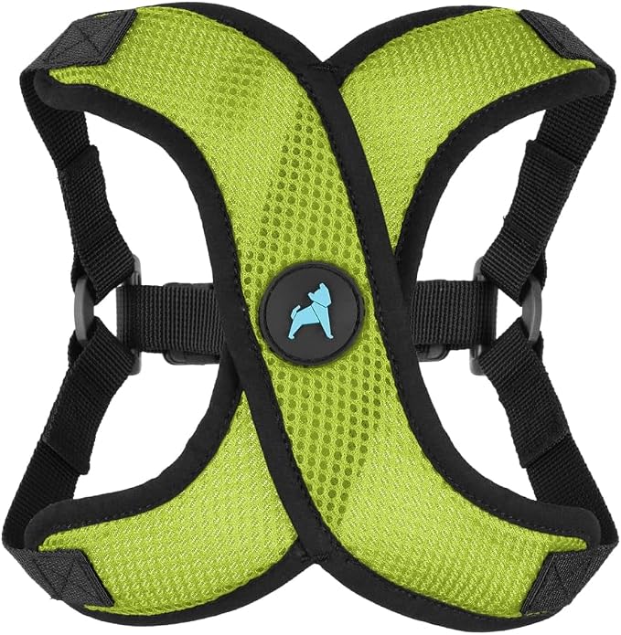Gooby Comfort X Step in Lite Dog Harness - Choke Free, Escape Free with Light Breathable Mesh - Step in Dog Harness for Small Dogs Only - Quick Release Buckle, Metal D-Rings - Green, Small
