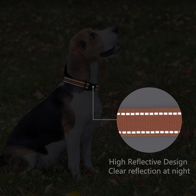 Reflective Dog Collar Padded with Soft Neoprene Breathable Quick Release Basic Dog Collars for Medium Large Dogs Orange