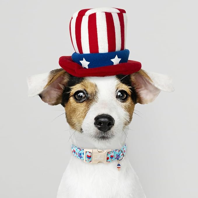 Maca Bates 4th of July Basic Dog Collar with Icecream Charm American Flag Patriotic 4 of 7 Pattern,Medium for Boy Girl,Adjustable Durable Blue Independence Day Gift for Male Female Puppy