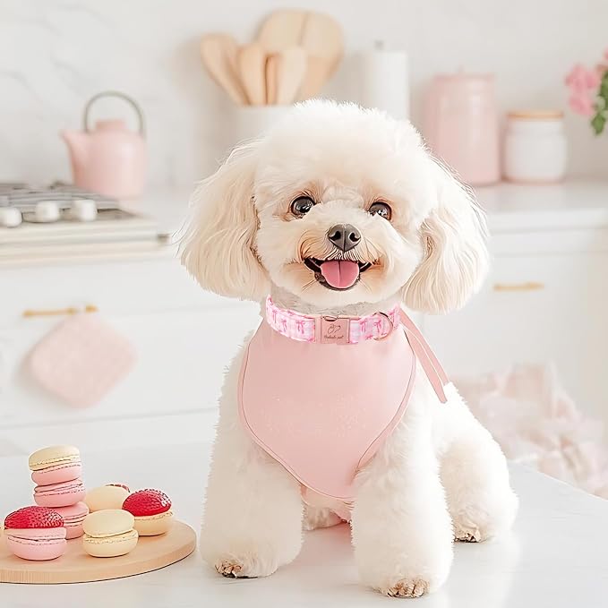 Girl Dog Collar, Sweetheart Girly Pink Bow Dog Collars, Adjustable Heavy Duty Spring/Summer Female Dogs Collar for Small Medium Large Dogs with Metal Buckle M