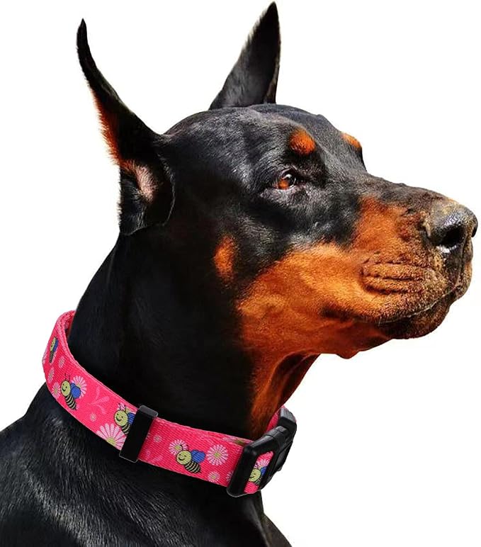 Pink Dog Collar Summer Daisy and Bees Print for Medium Dogs