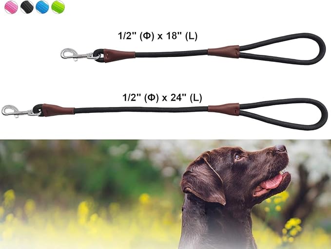 BTINESFUL Short Dog Leash- 2FT Strong Nylon Black Traffic Leash- No Pull Rope Lead for Medium Large Dogs Training Walking (Black,1/2" x 24 inch)