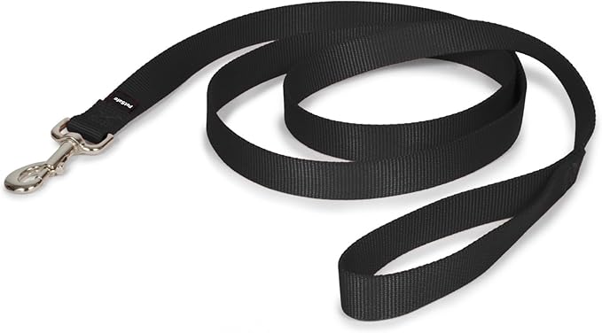 PetSafe Nylon Dog Leash Strong, Durable, Traditional Style Lead with Easy to Use Bolt Snap for Small, Medium and Large Dogs 1" x 6', Black