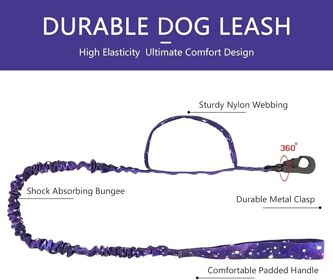 DAGANXI Tactical Dog Collar, Adjustable Military Training Nylon Dog Collar with Control Handle and Heavy Metal Buckle for Medium and Large Dogs, with Patches and Airtags Case (M, Purple Sky-Set)