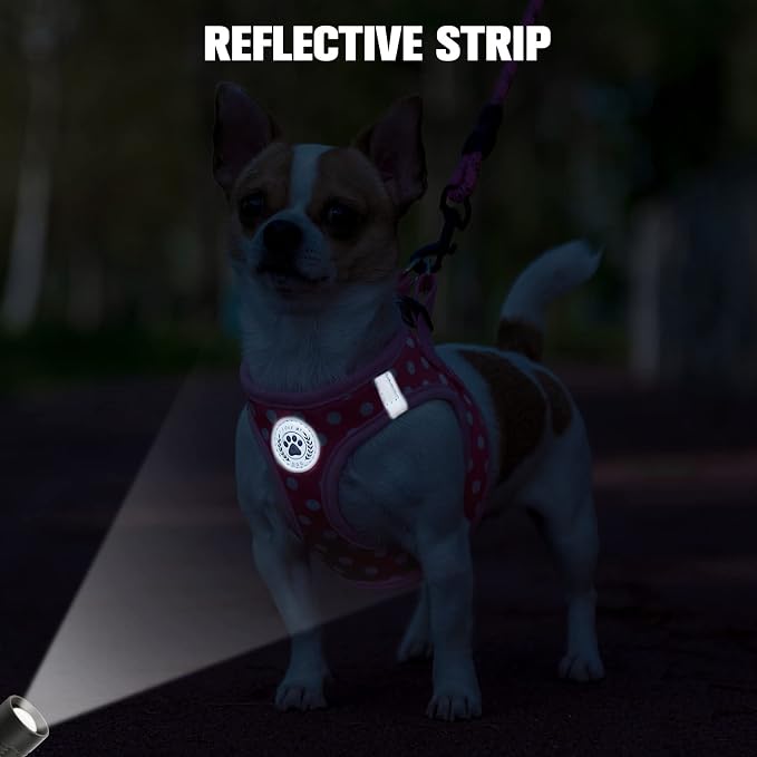 BEAUTYZOO Step in Dog Harness and Leash Set, Polka Dot Pattern Reflective Dog Harness No Pull No Choke Puppy Harness for XXS XS S Dogs Cats, Soft Padded Mesh Vest Harnesses for Girl and Boy Pets