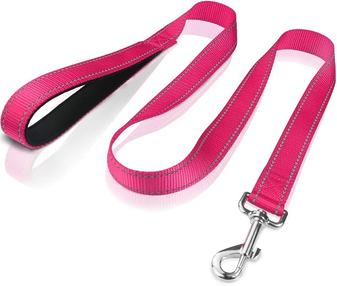 FunTags 4FT Hot Pink Reflective Dog Leash for Medium & Small Dogs Training, Soft Padded Handle Comfortable Grip, Heavy Duty Nylon, Reflective for Night Walking, 3/4in Wide