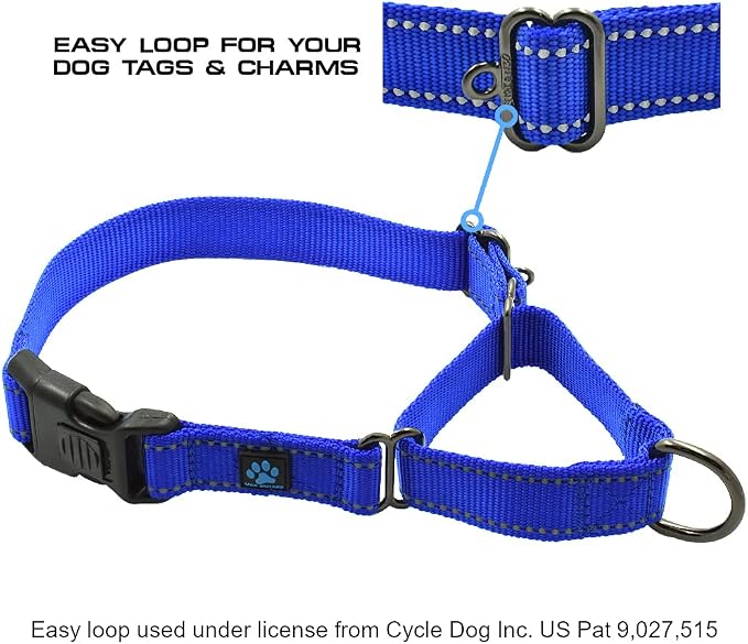 Max and Neo Nylon Martingale Collar - We Donate to a Dog Rescue for Every Collar Sold (Small, Black)